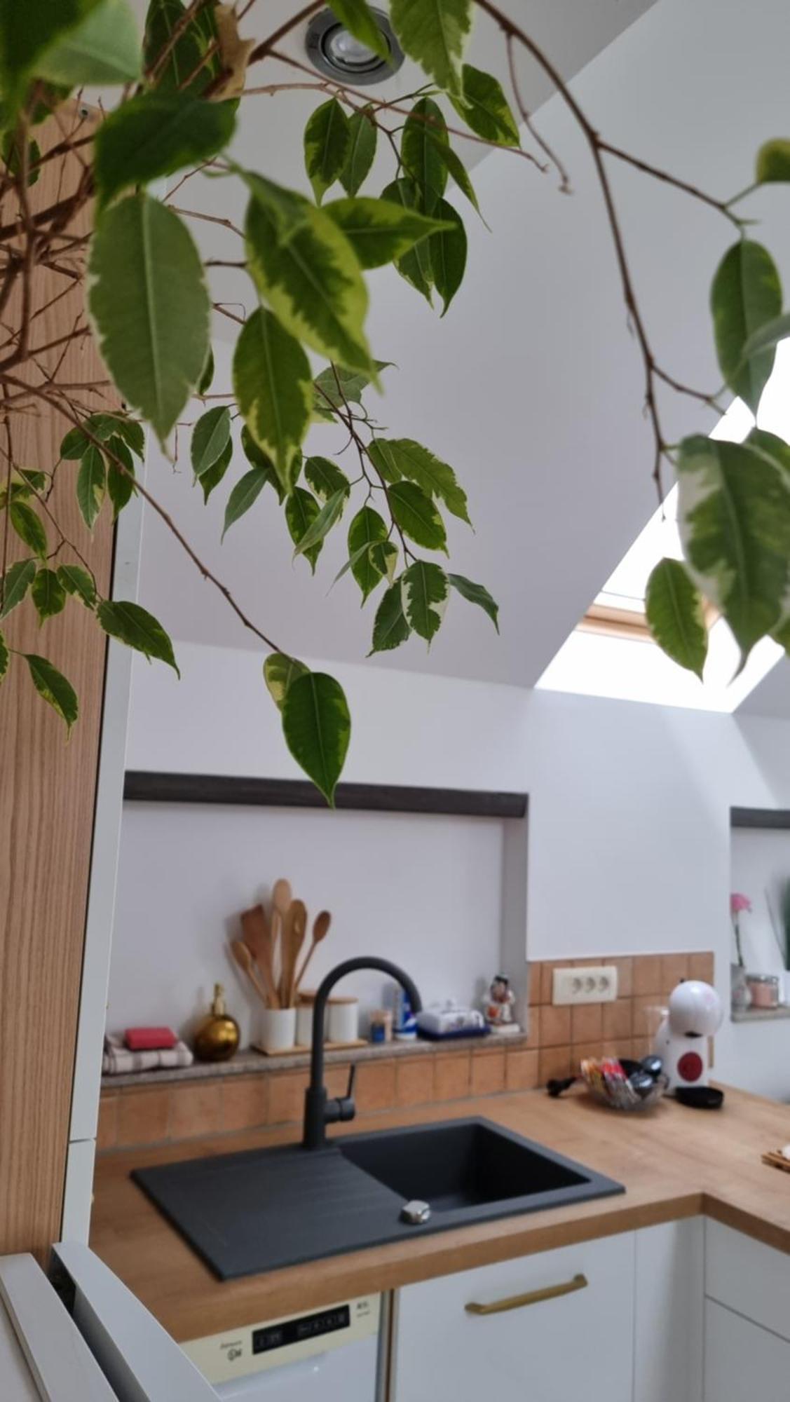 Apartma Katarina Bled Bagian luar foto